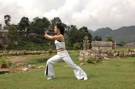 《吴式太极拳精简十六式》